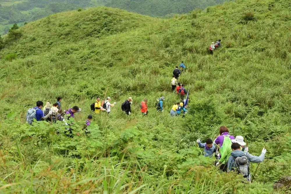 金码财富报