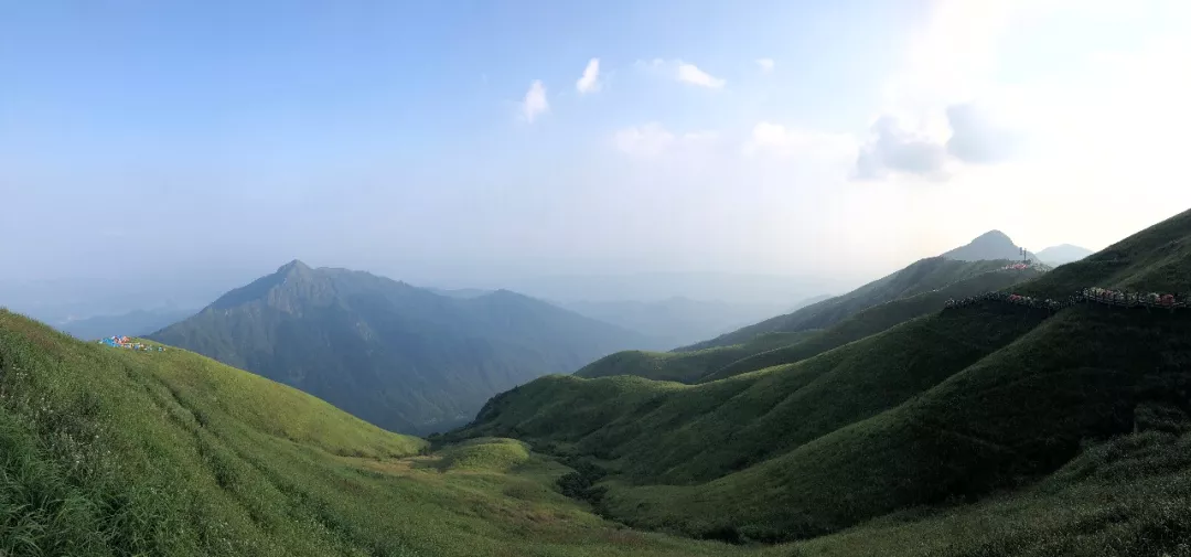 金码财富报