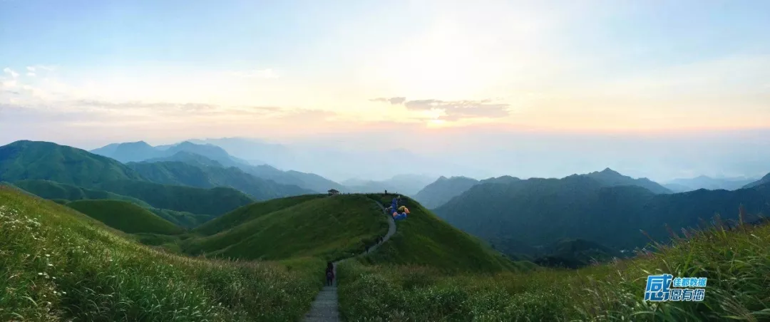 金码财富报